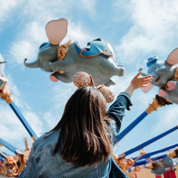 Disney Parks